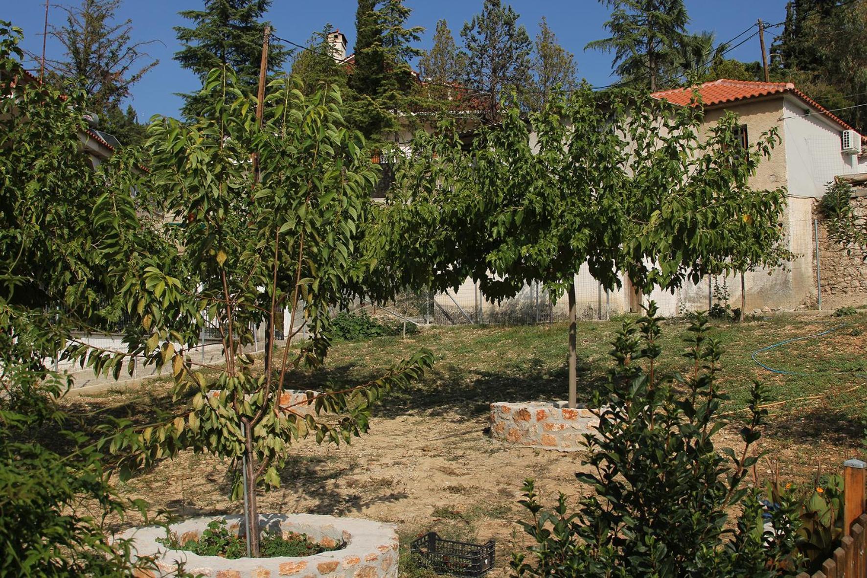 Vagelis Nemea Apartments Esterno foto